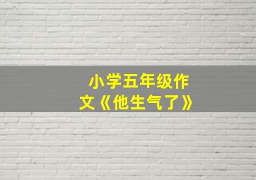 小学五年级作文《他生气了》