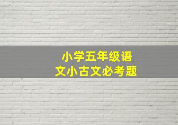 小学五年级语文小古文必考题