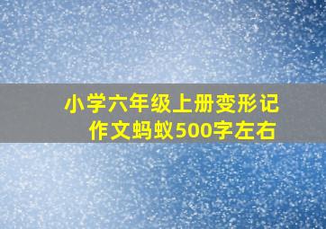 小学六年级上册变形记作文蚂蚁500字左右