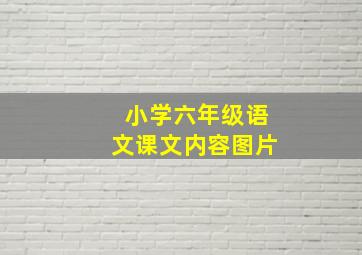 小学六年级语文课文内容图片