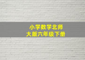 小学数学北师大版六年级下册