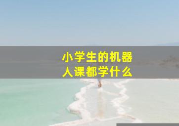 小学生的机器人课都学什么