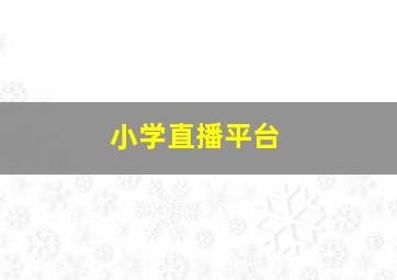 小学直播平台