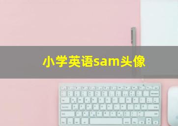 小学英语sam头像