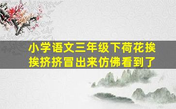 小学语文三年级下荷花挨挨挤挤冒出来仿佛看到了