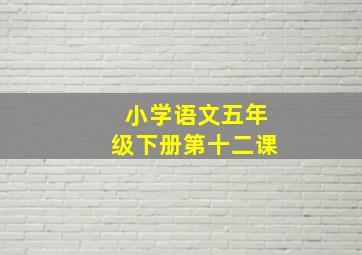 小学语文五年级下册第十二课