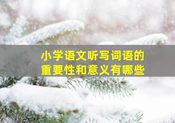 小学语文听写词语的重要性和意义有哪些