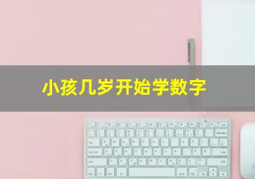 小孩几岁开始学数字