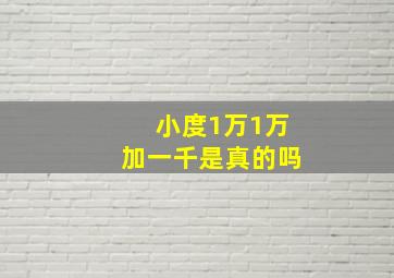 小度1万1万加一千是真的吗