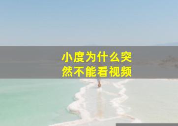 小度为什么突然不能看视频