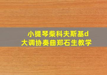 小提琴柴科夫斯基d大调协奏曲郑石生教学