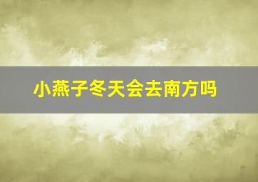 小燕子冬天会去南方吗