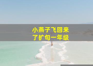 小燕子飞回来了扩句一年级