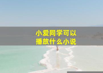 小爱同学可以播放什么小说