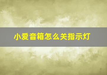 小爱音箱怎么关指示灯