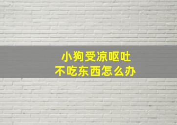 小狗受凉呕吐不吃东西怎么办