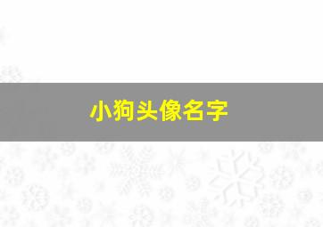 小狗头像名字