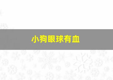 小狗眼球有血