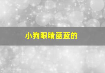 小狗眼睛蓝蓝的