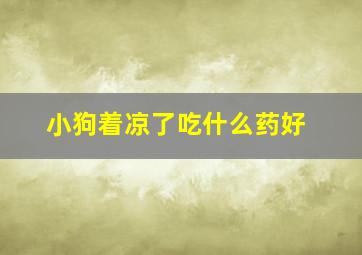 小狗着凉了吃什么药好