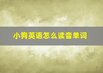 小狗英语怎么读音单词