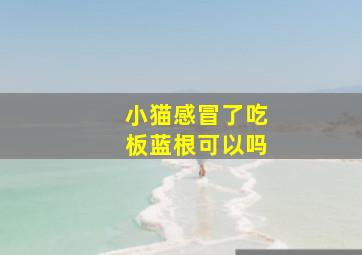 小猫感冒了吃板蓝根可以吗