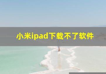 小米ipad下载不了软件