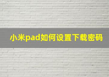 小米pad如何设置下载密码