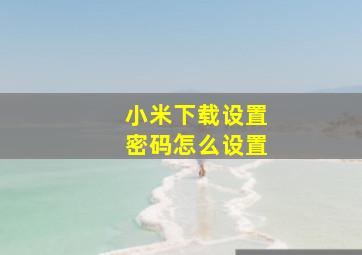 小米下载设置密码怎么设置