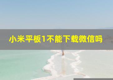 小米平板1不能下载微信吗