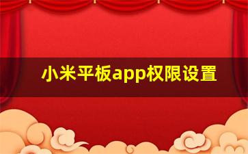 小米平板app权限设置