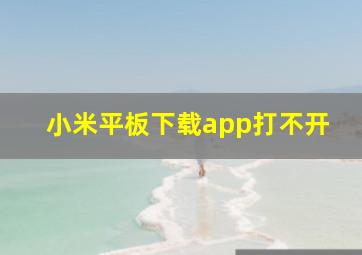 小米平板下载app打不开