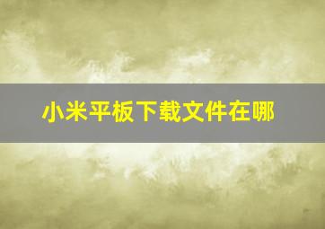 小米平板下载文件在哪