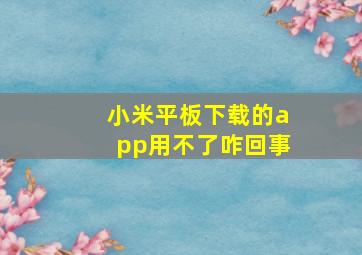 小米平板下载的app用不了咋回事