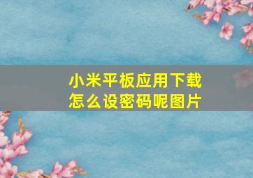 小米平板应用下载怎么设密码呢图片