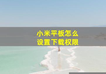 小米平板怎么设置下载权限