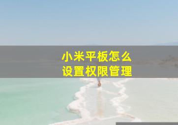 小米平板怎么设置权限管理