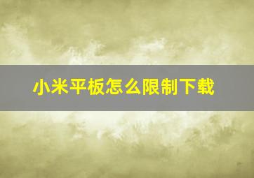 小米平板怎么限制下载