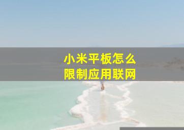 小米平板怎么限制应用联网