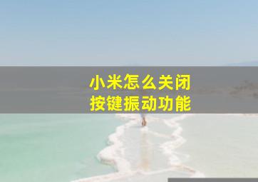 小米怎么关闭按键振动功能