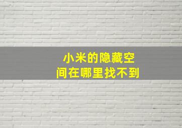 小米的隐藏空间在哪里找不到