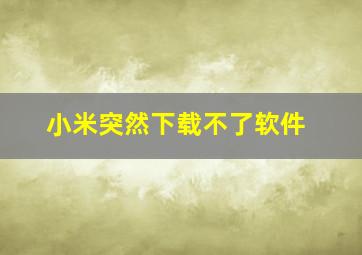 小米突然下载不了软件