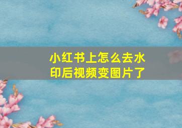 小红书上怎么去水印后视频变图片了