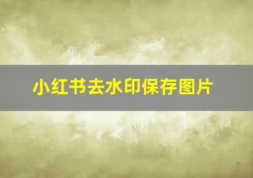 小红书去水印保存图片