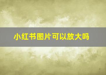 小红书图片可以放大吗