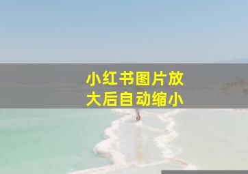 小红书图片放大后自动缩小