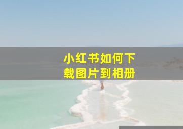 小红书如何下载图片到相册