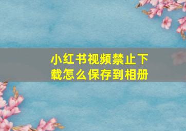 小红书视频禁止下载怎么保存到相册