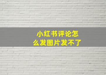 小红书评论怎么发图片发不了