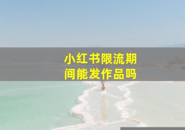 小红书限流期间能发作品吗